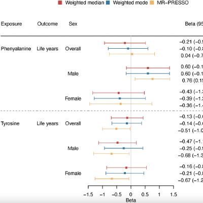 High Tyrosine Levels Linked to Shorter Lifespan in Men
