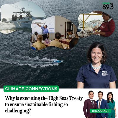 Climate Connections: Why is executing the High Seas Treaty to ensure sustainable fishing so challenging?