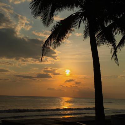 EXAMEN SEGUNDO PARCIAL EXAMEN SEGUNDO PARCIAL