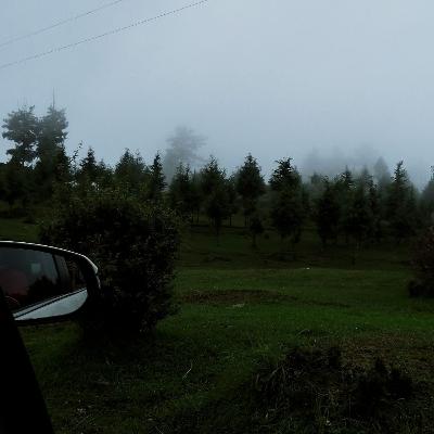 Mera hissa Mera hissa