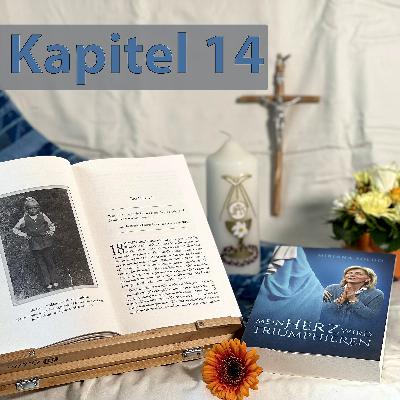 Kapitel 14