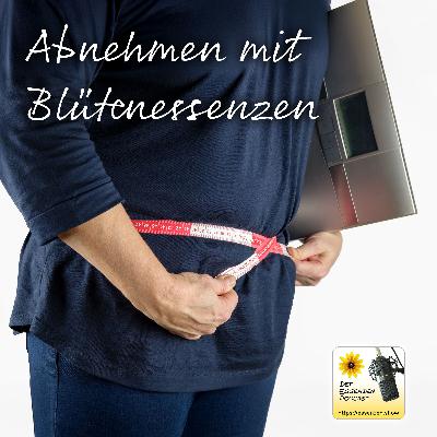 Abnehmen mit Blütenessenzen: Stress, Frustessen & Selbstzweifel überwinden Abnehmen mit Blütenessenzen: Stress, Frustessen & Selbstzweifel überwinden