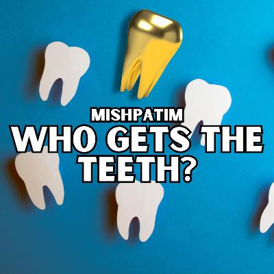 Mishpatim - Who Gets The Teeth?
