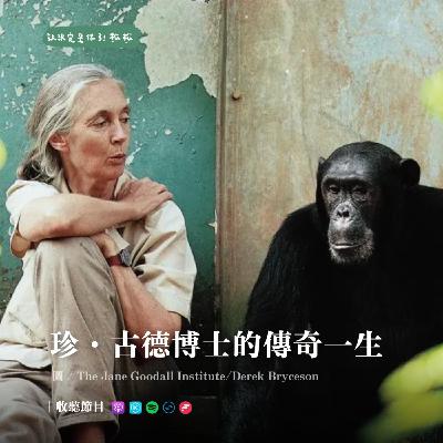 ﹝邁向大師之路﹞𝐄𝐏𝟎𝟑｜珍・古德博士的傳奇人生 — 黑猩猩之母 🦍