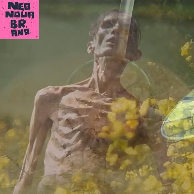 Are seed oils really bad for you? Researchers unpack RFK Jr.'s claims Are seed oils really bad for you? Researchers unpack RFK Jr.'s claims