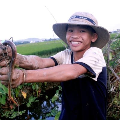 Tập 8 Ký ức tuổi thơ - Mùa bắt lươn đồng