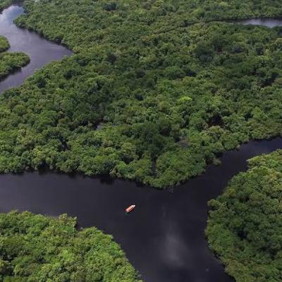 A floresta amazônica e suas funções. A floresta amazônica e suas funções.