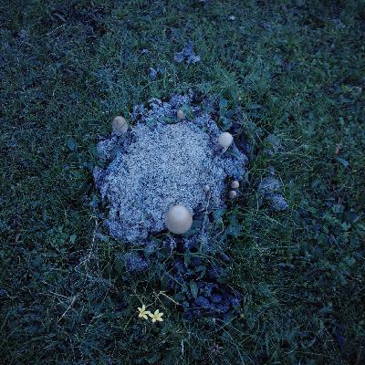 jy.「洗衣房的02:30」没早饭吃 jy.「洗衣房的02:30」没早饭吃