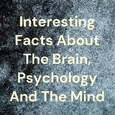 Interesting Facts About The Brain, Psychology And The Mind (Trailer)