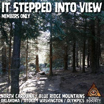 A Woman’s Terrifying Off-Trail Encounter in North Carolina’s Blue Ridge Mountains | Member's Only Episode A30 | PREVIEW A Woman’s Terrifying Off-Trail Encounter in North Carolina’s Blue Ridge Mountains | Member's Only Episode A30 | PREVIEW