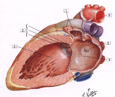 184 一次老司机翻车事件