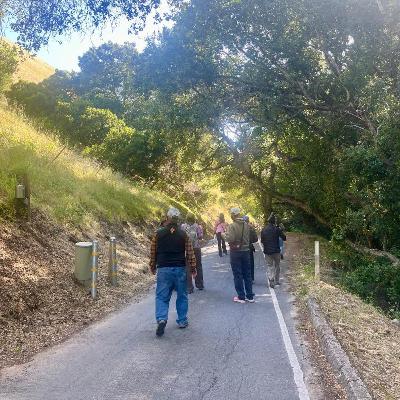 Mill Creek Field Trip