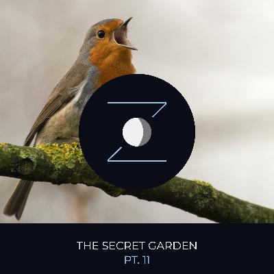 The Secret Garden pt. 11