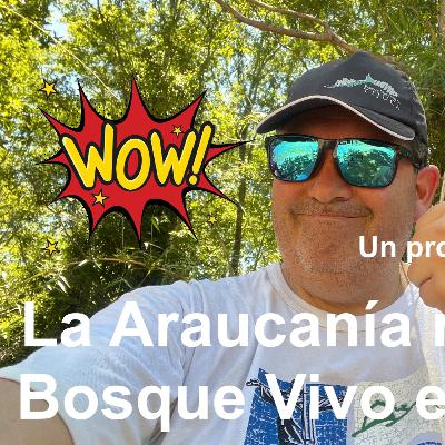 La Araucanía revive con Bosque Vivo en Pumalal 🏡 🇨🇱