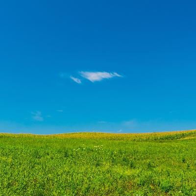 Blue Sky Blues
