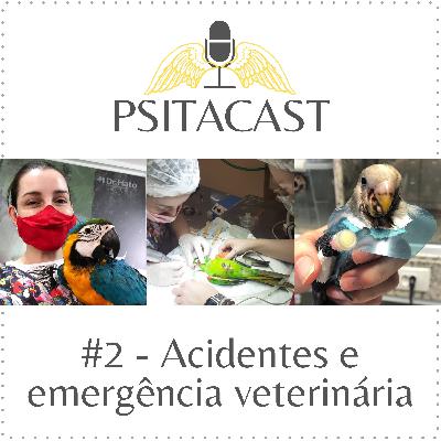 Psitacast #2 - Acidentes e emergência veterinária Psitacast #2 - Acidentes e emergência veterinária
