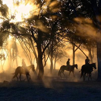 04 - Os Aventureiros