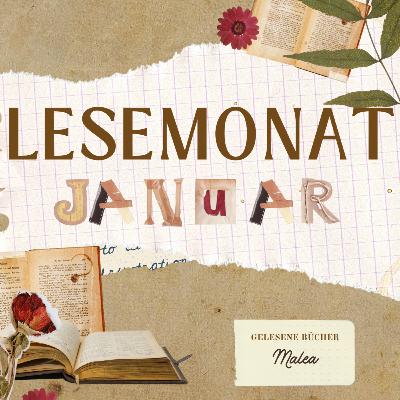 Lesemonat Januar 2025 | Meine gelesenen Bücher 💌🤭