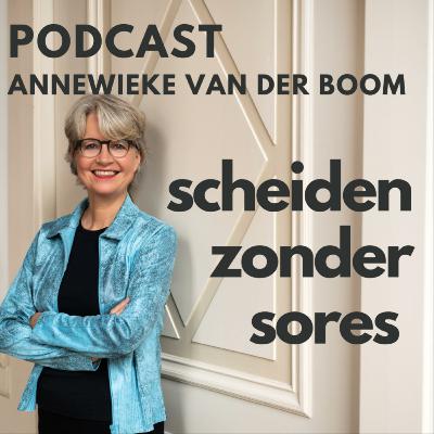 #99 Heb je als samenwoners mediation nodig?