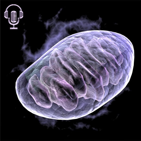 33 new things we've learned about Mitochondria 🔬 Hacking health at its foundational level
