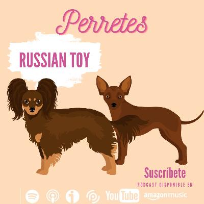 Ep81: Pequeño perro Ruso.