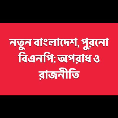 নতুন বাংলাদেশ, পুরনো বিএনপি: অপরাধ ও রাজনীতি