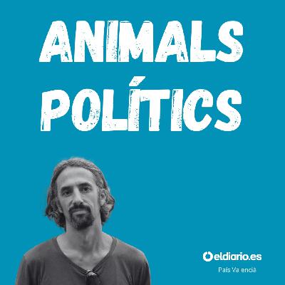 Ep. 7 - Palestina: el genocidi televisat