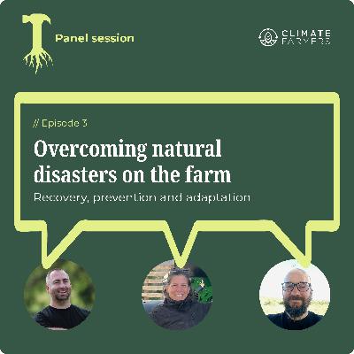 Overcoming natural disasters on the farm: Recovery, prevention and adaptation