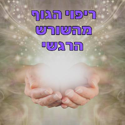 ריפוי הגוף דרך שחרור רגשות מודחקים ריפוי הגוף דרך שחרור רגשות מודחקים