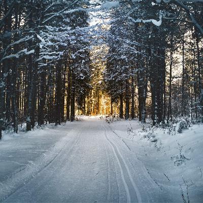 Grieving and the holidays #105 Grieving and the holidays #105