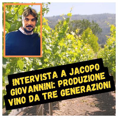 Intervista a Jacopo Giovannini: produzione vino da tre generazioni Intervista a Jacopo Giovannini: produzione vino da tre generazioni