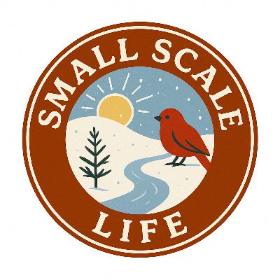 The Slow Down Season