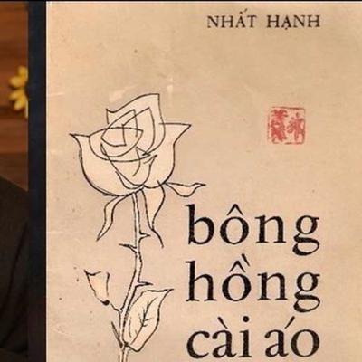Lắng Radio: Bông hồng cài áo - Thích Nhất Hạnh