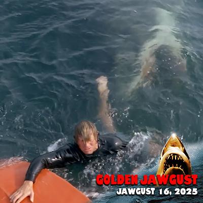 GOLDEN JAWGUST: "Shark! The Shark! He's Going into the Pond!" (16 of 31)