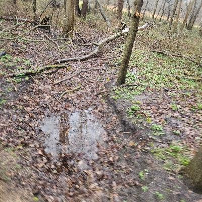 Hardlopen 329 | IS TRAILRUNNING OOK IETS VOOR JOU?