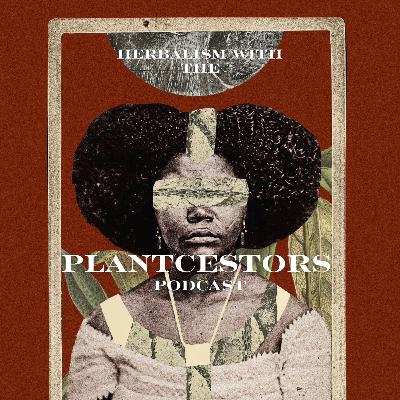 Herbal Wisdom From Our Foremothers
