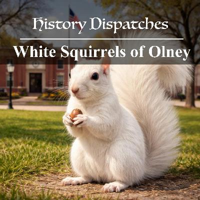 White Squirrels of Olney