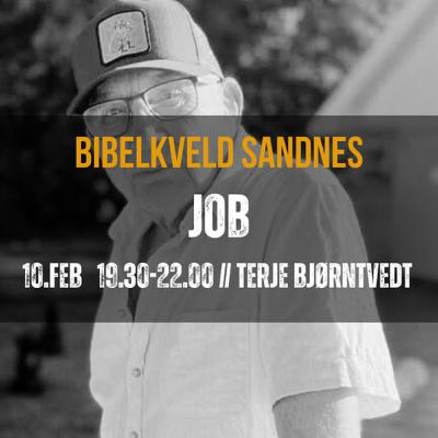 Jobs bok - Terje Bjørntvedt Jobs bok - Terje Bjørntvedt
