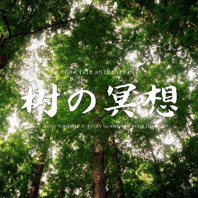 树の冥想|显化接地|OM唱诵、链接盖娅、舒曼共振、释放愤怒、恢复精力、发掘内在天赋才能 树の冥想|显化接地|OM唱诵、链接盖娅、舒曼共振、释放愤怒、恢复精力、发掘内在天赋才能