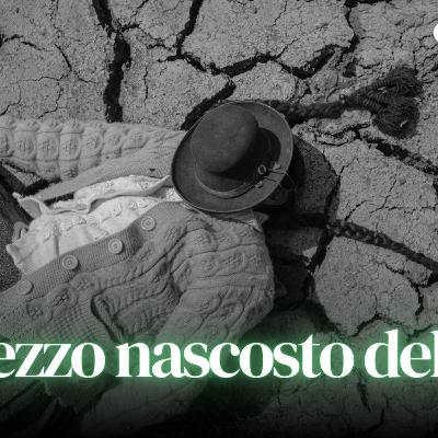 La fotografia che mostra ciò che non vogliamo vedere - Convivium - Alessandro Cinque La fotografia che mostra ciò che non vogliamo vedere - Convivium - Alessandro Cinque