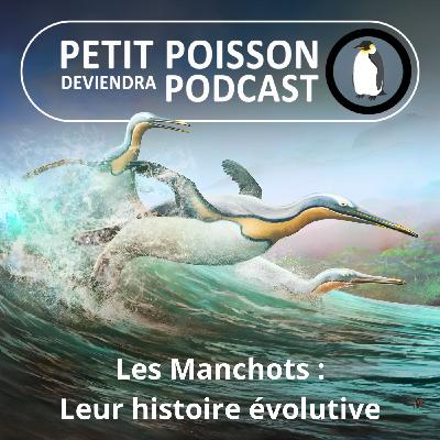 S05E12 Les Manchots : Prendre son envol dans l'eau, ou l'histoire évolutive des manchots (Mathilde Chevallay)