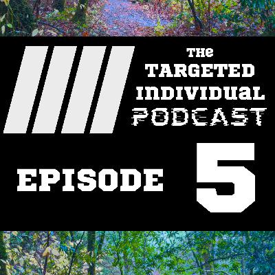 The Electronic Torture & Directed Energy Weapons Targeting of Ann