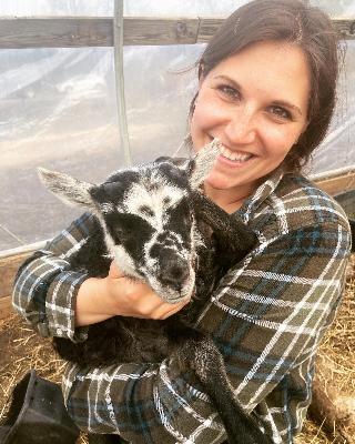 Sunlight, Sheep & Solar Farms: Agri-Energy with Rebekah Pierce | Ep. 47