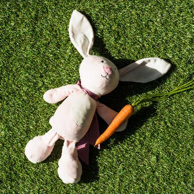 My Nephew and his Stuffed Rabbit