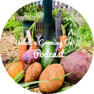Discover globally, values of edible plants - Food Plants International