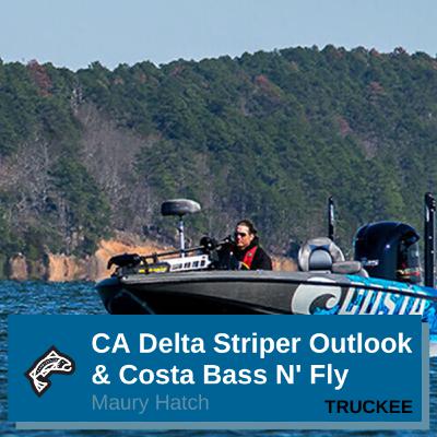 CA Delta Striper 0utlook &- Costa Bass N'Fly