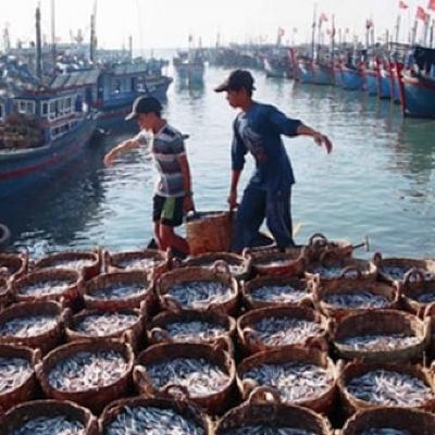 Tiêu điểm - Kinh tế biển – động lực phát triển đất nước