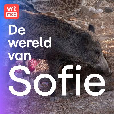 Het allergevaarlijkste beest