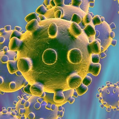 ENTREVISTA SOBRE EL CORONAVIRUS