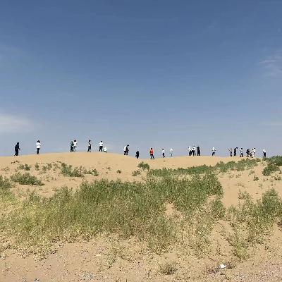 Vol.06 世界旦夕之间，在沙地种树还有什么意义？